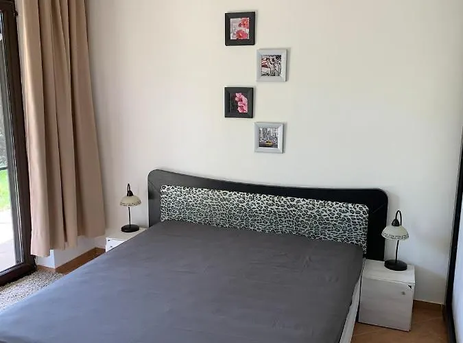 Silver Star 索佐波尔