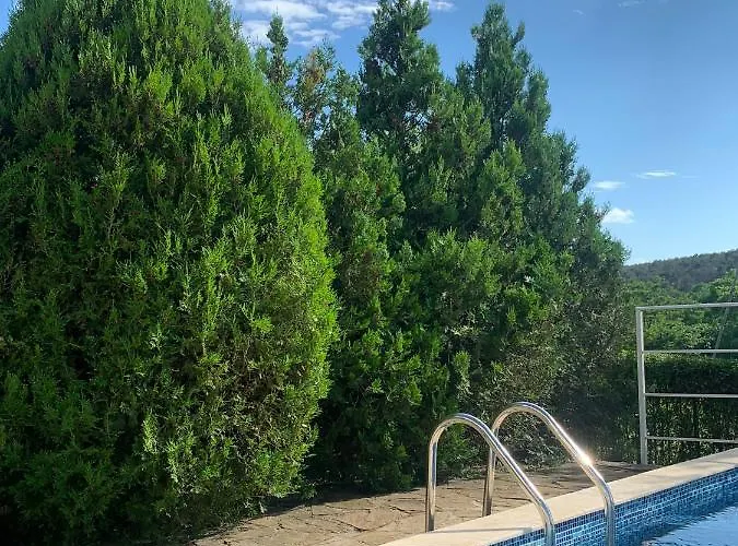 Silver Star 公寓 索佐波尔